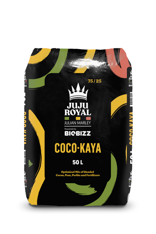 Bio Bizz Coco Kaya