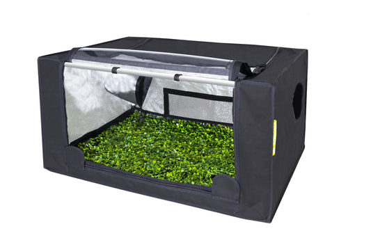 Garden Highpro Probox Propagator M - 80x60x40cm